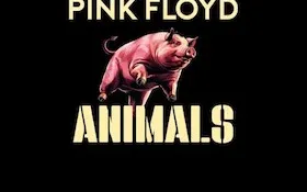 Pink Floyd by One Of These - "A Celebration of Pink Floyd"